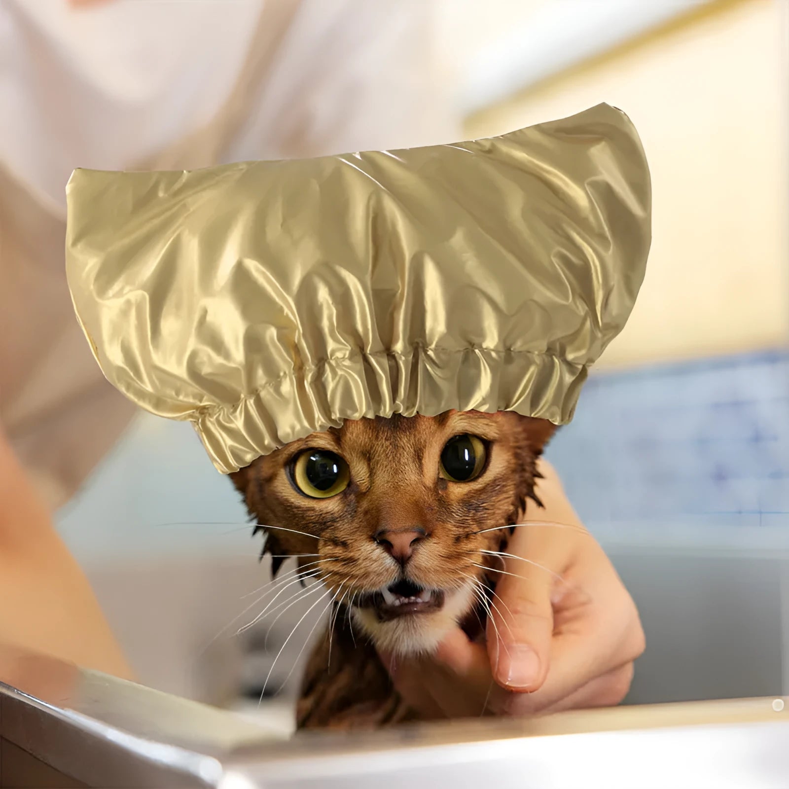 Adjustable pet shower cap in silver colour showing ear protection design and non-woven fabric construction