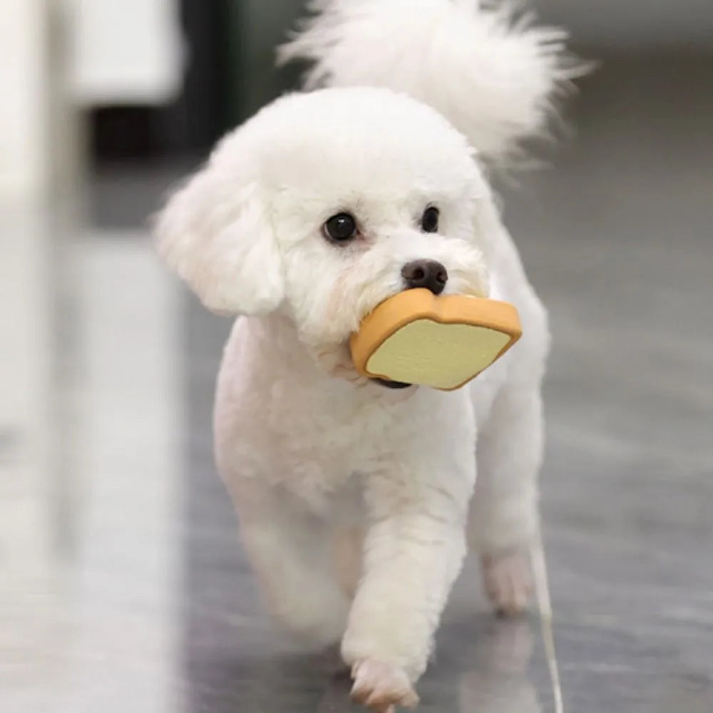 Cartoon pattern latex dog chew toy shaped like egg bread with squeaker in yellow or green