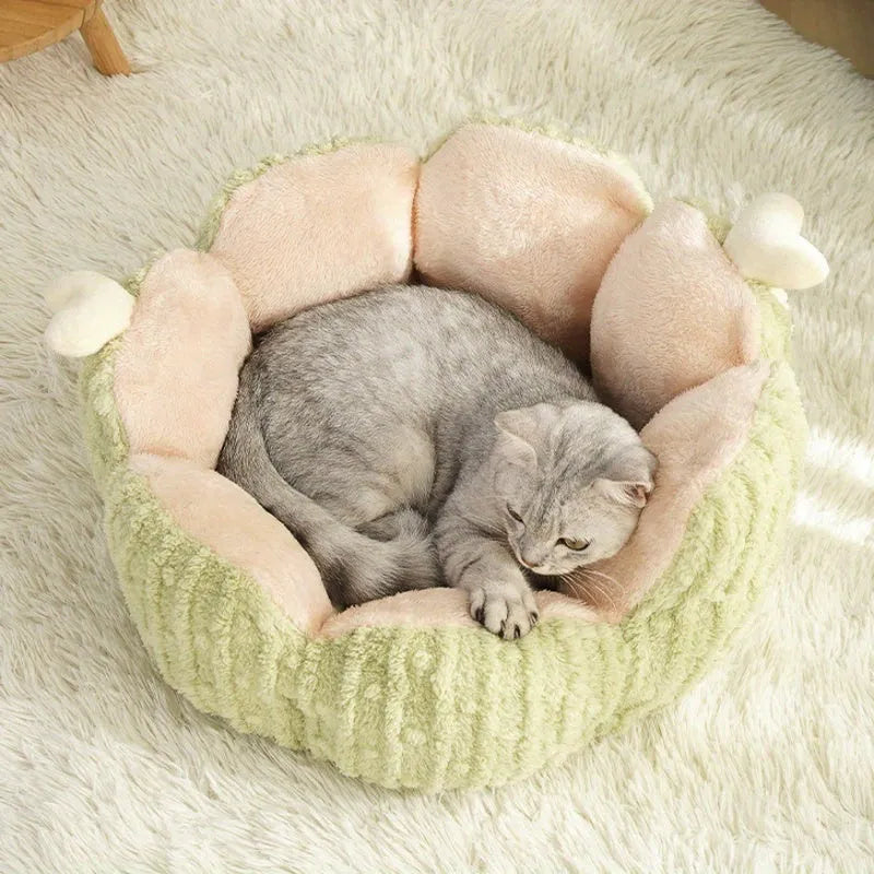 Purple cactus-shaped soft cat kennel showing enclosed design with four access sides