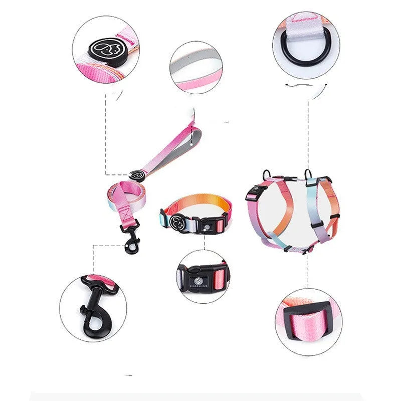 Adjustable polyester pet chest strap in a gradient colour pattern, showing the buckle and D-ring.