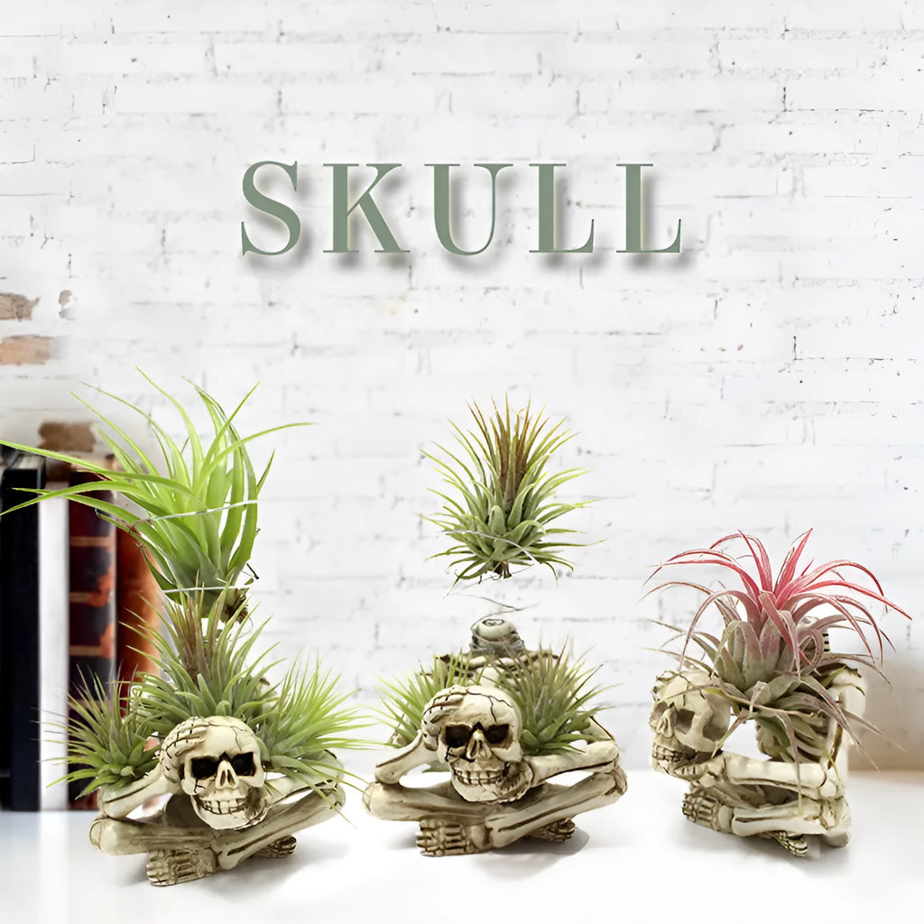 Gothic skull resin bracket for Tillandsia air plants with soilless design