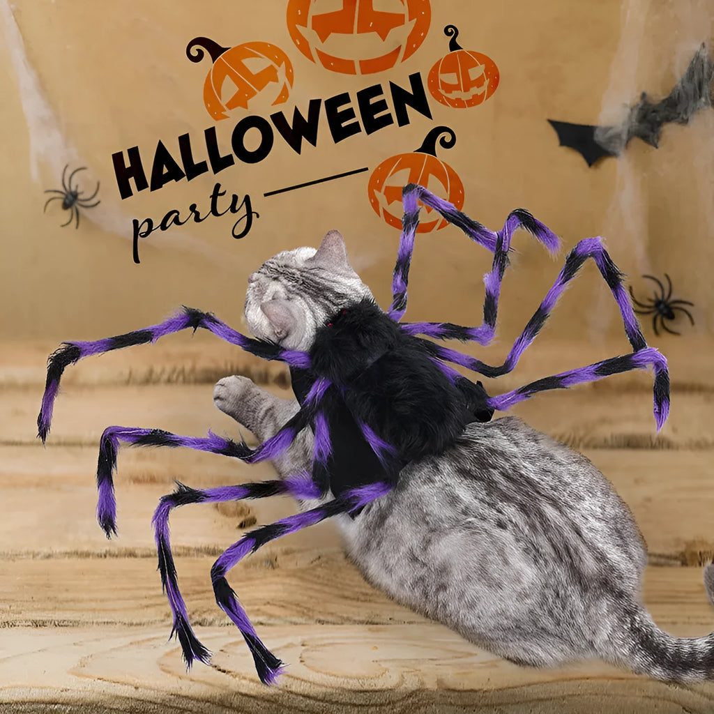Gray Halloween spider costume on dog with eight faux legs and four-leg openings