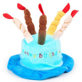 Blue dog birthday hat with party balloons and candles for small to medium dogs