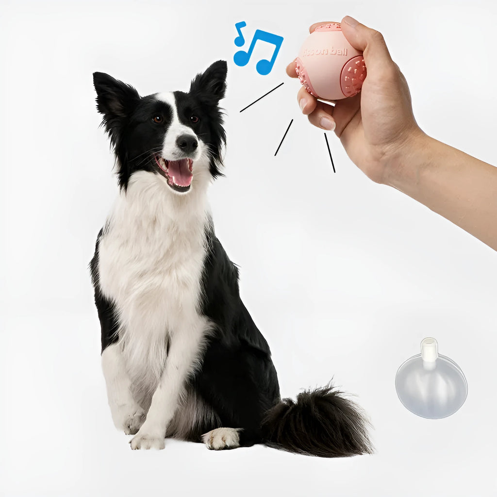 Green rolling ball dog toy with 64mm diameter for interactive pet play
