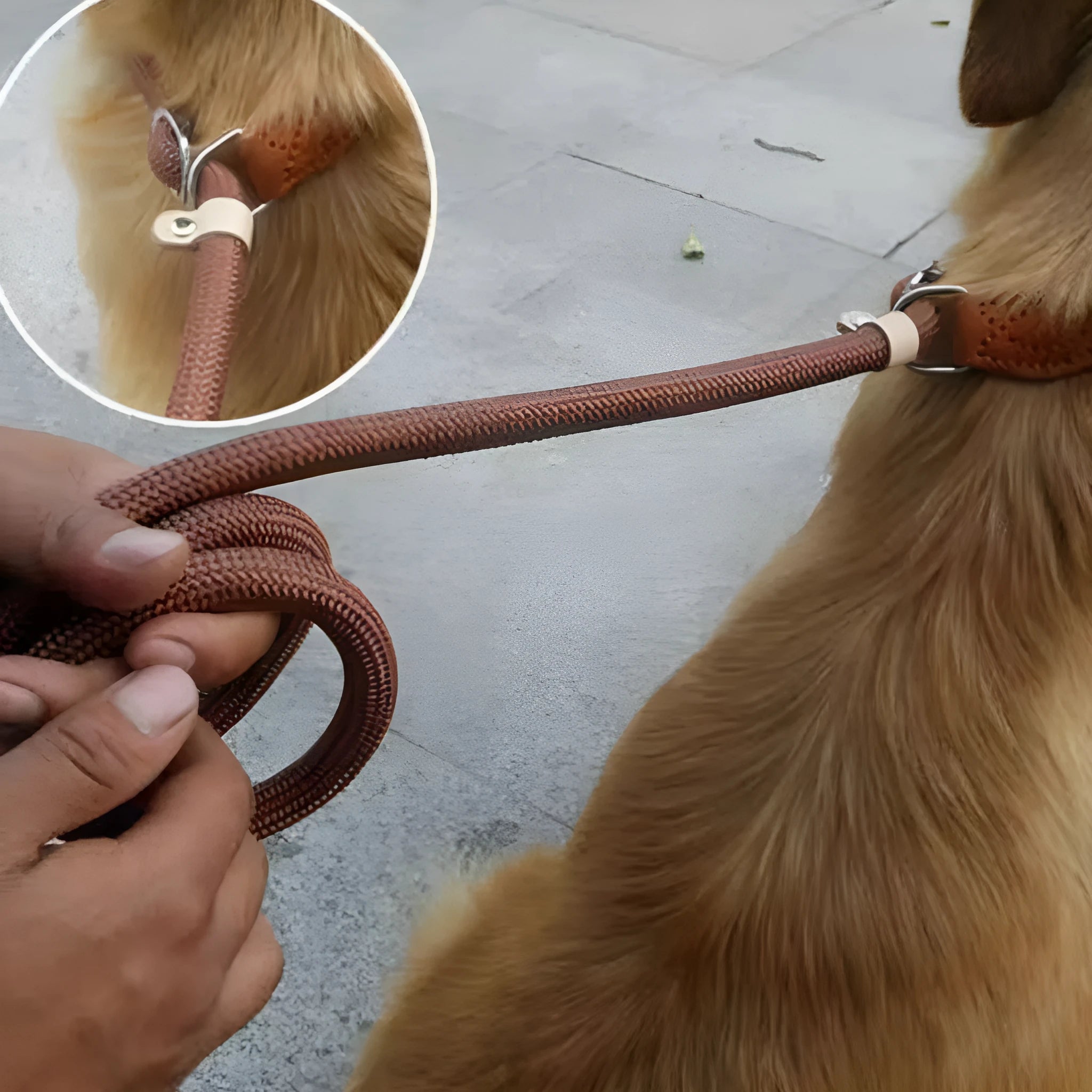 Brown nylon dog leash with chain section and rope handle, 2.1 metres long
