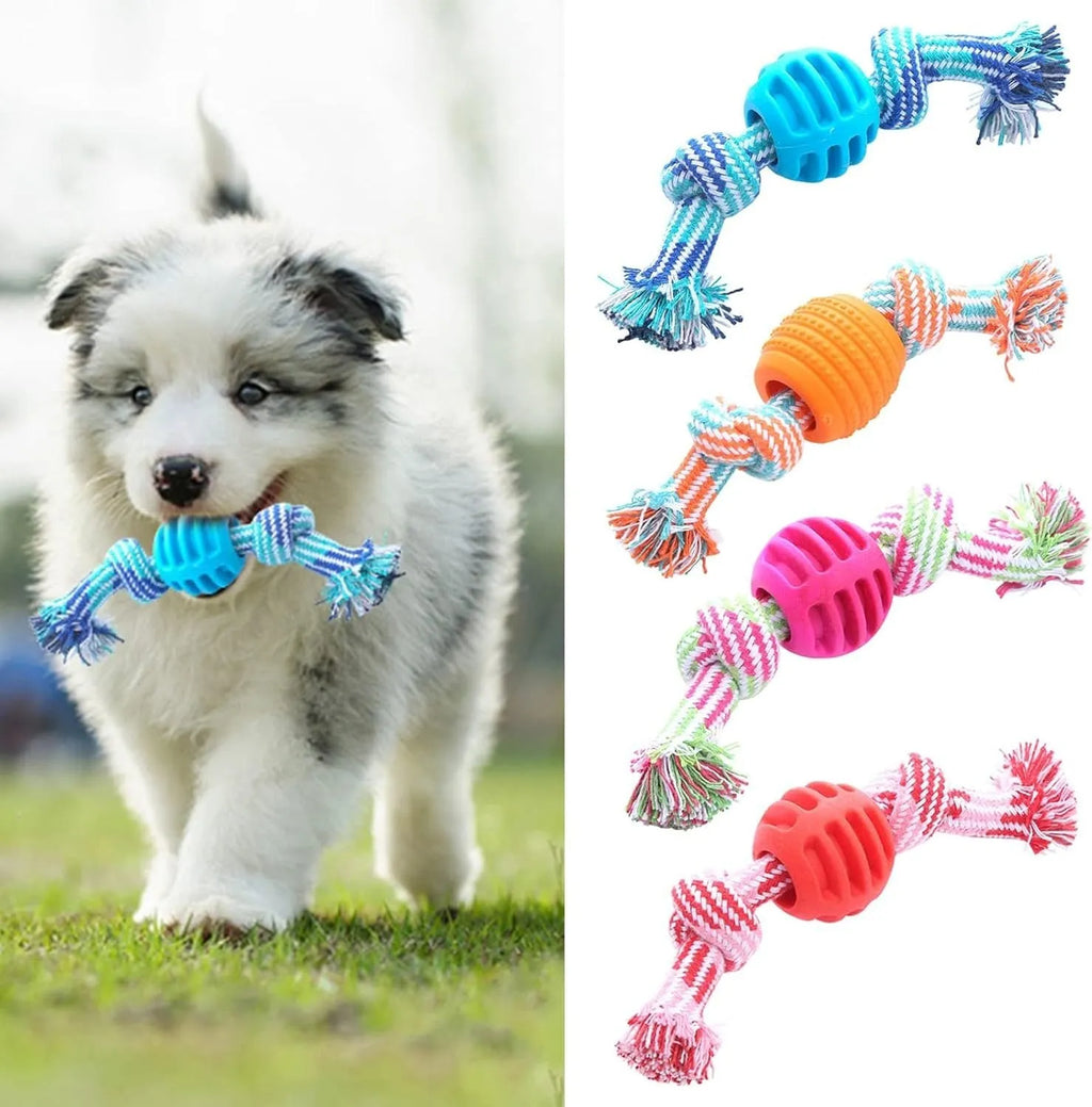Blue molar-shaped dog chew toy with rope strands for dental cleaning