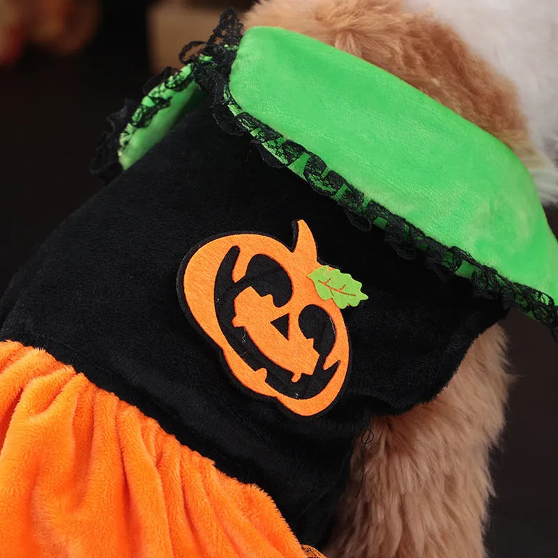 Orange crystal velvet Halloween pumpkin skirt costume on a small dog, with size chart showing measurements.