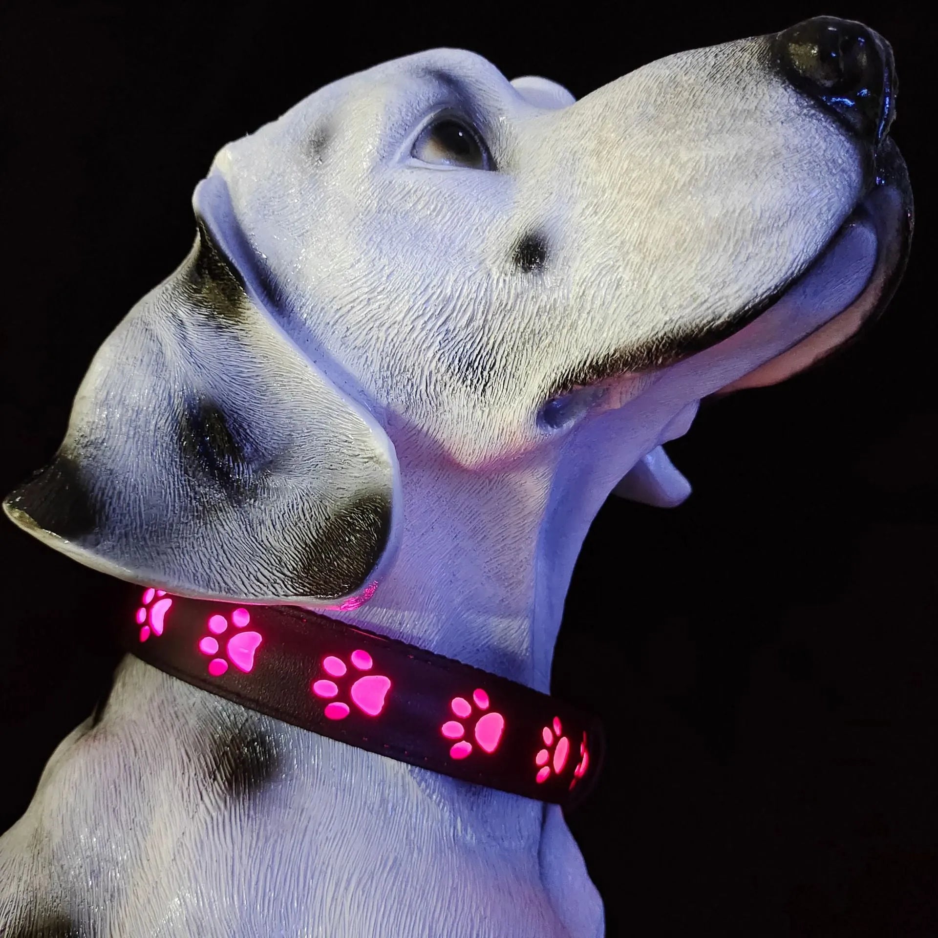LED luminous dog collar with paw print pattern showing multiple colour lights on a black polyester band