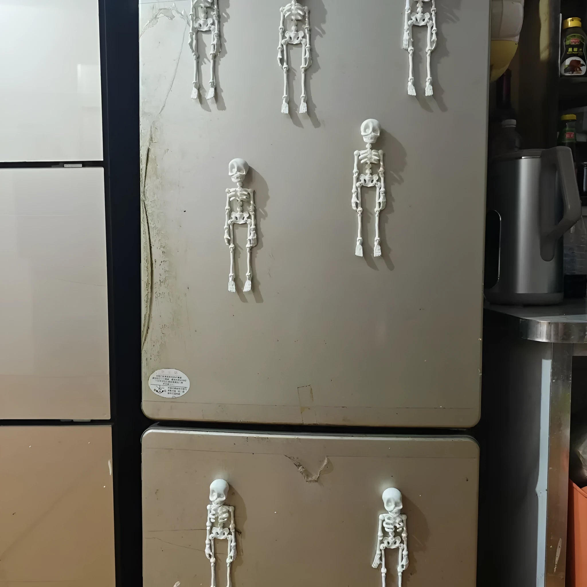 3D printed skull refrigerator magnet in multiple colours measuring 18cm high