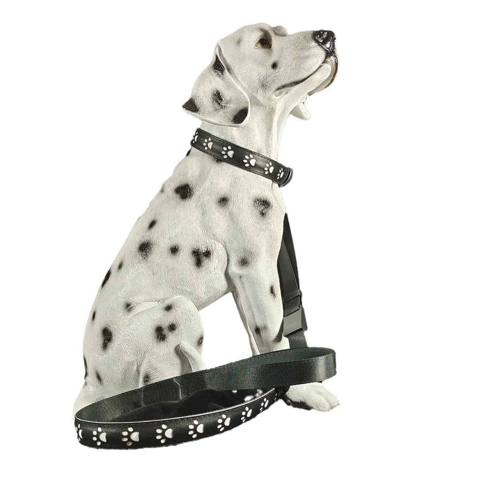 LED luminous dog collar with paw print pattern showing multiple colour lights on a black polyester band