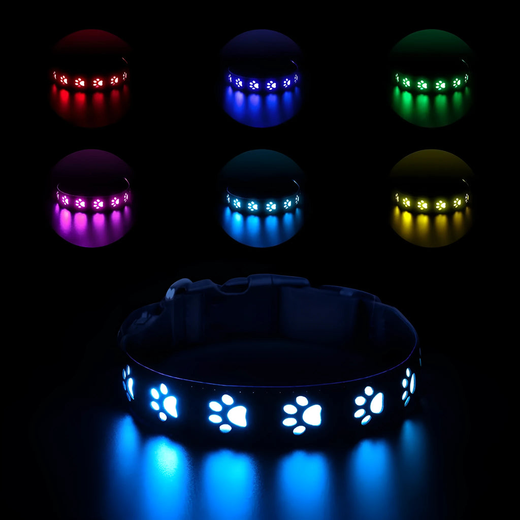 LED luminous dog collar with paw print pattern showing multiple colour lights on a black polyester band