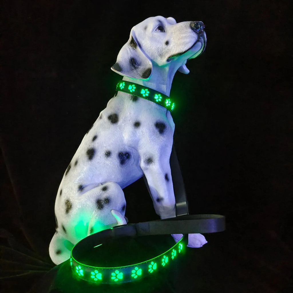 LED luminous dog collar with paw print pattern showing multiple colour lights on a black polyester band
