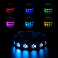 LED luminous dog collar with paw print pattern showing multiple colour lights on a black polyester band