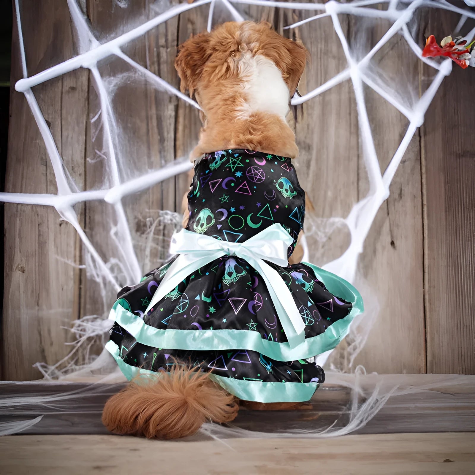 Halloween dog skirt with colourful pumpkin print for medium-sized dogs
