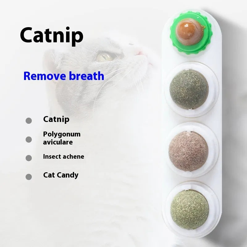 Cat toy snack molar in plastic with long-lasting design, available in blue, green, purple, pink, white, or grey
