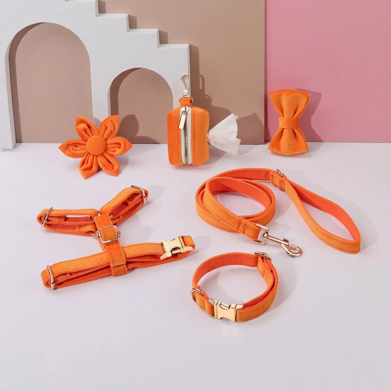 Pet collar and traction rope set in velvet fabric with bow tie, flower, and chest strap accessories