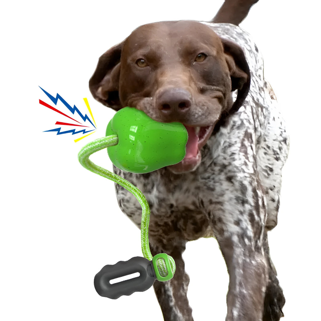 Green apple-shaped plastic dog toy with food dropping ball mechanism for dental chewing
