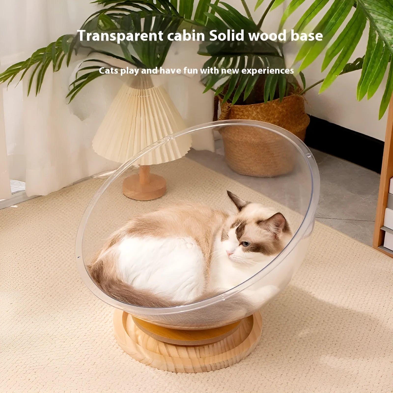 Transparent acrylic cat space capsule bed with turntable base shown in multiple size options