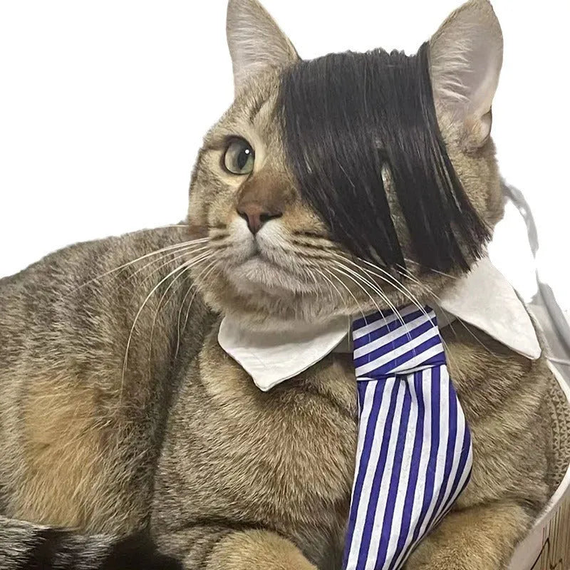 Black fox-style cat wig with imitation braid detail for pet dress up