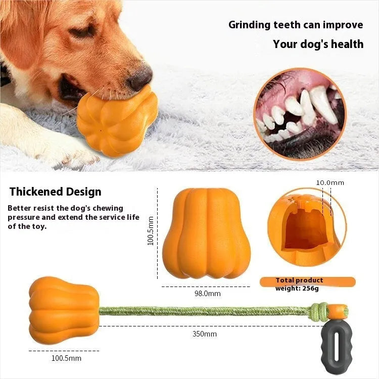 Orange plastic molar-shaped dog chew toy with a rope attached for tug-of-war play.