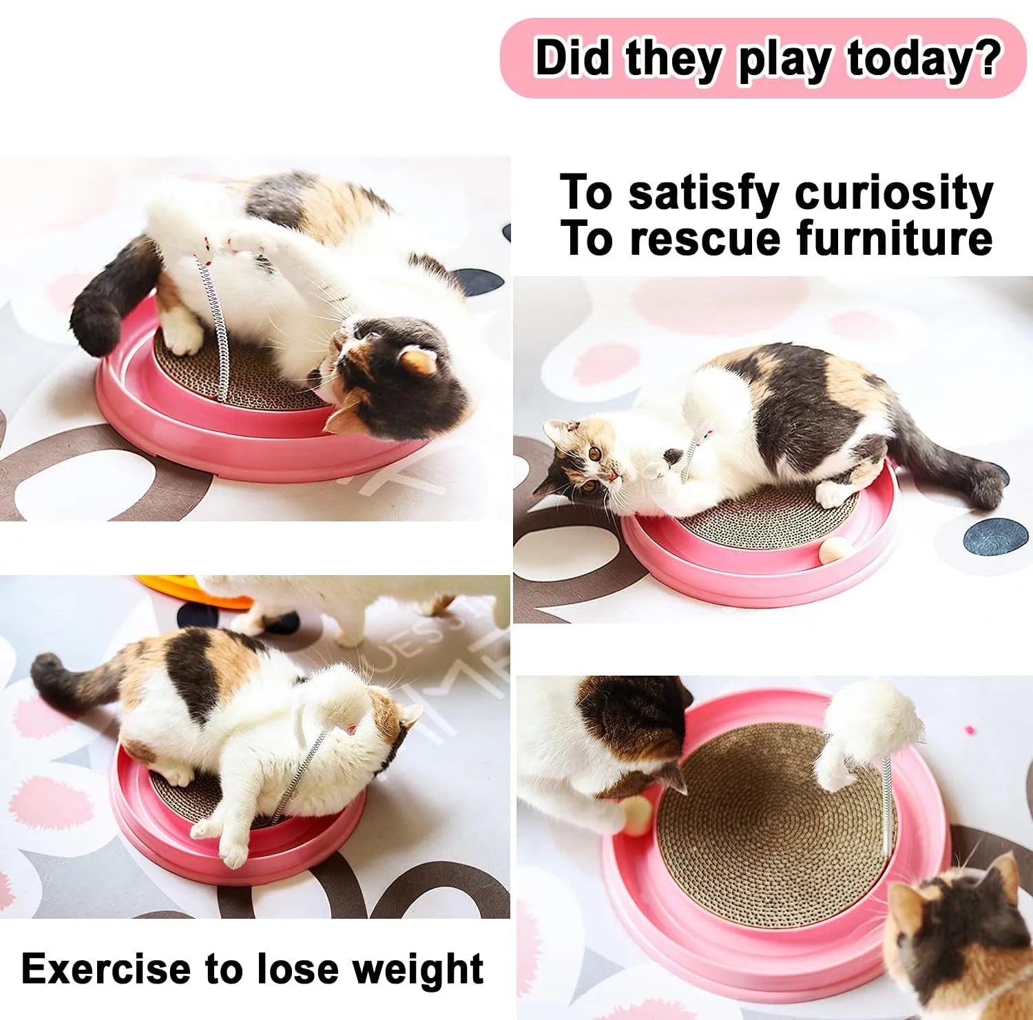 Blue interactive cat scratcher toy with ball track and replaceable scratch pad, 40cm diameter