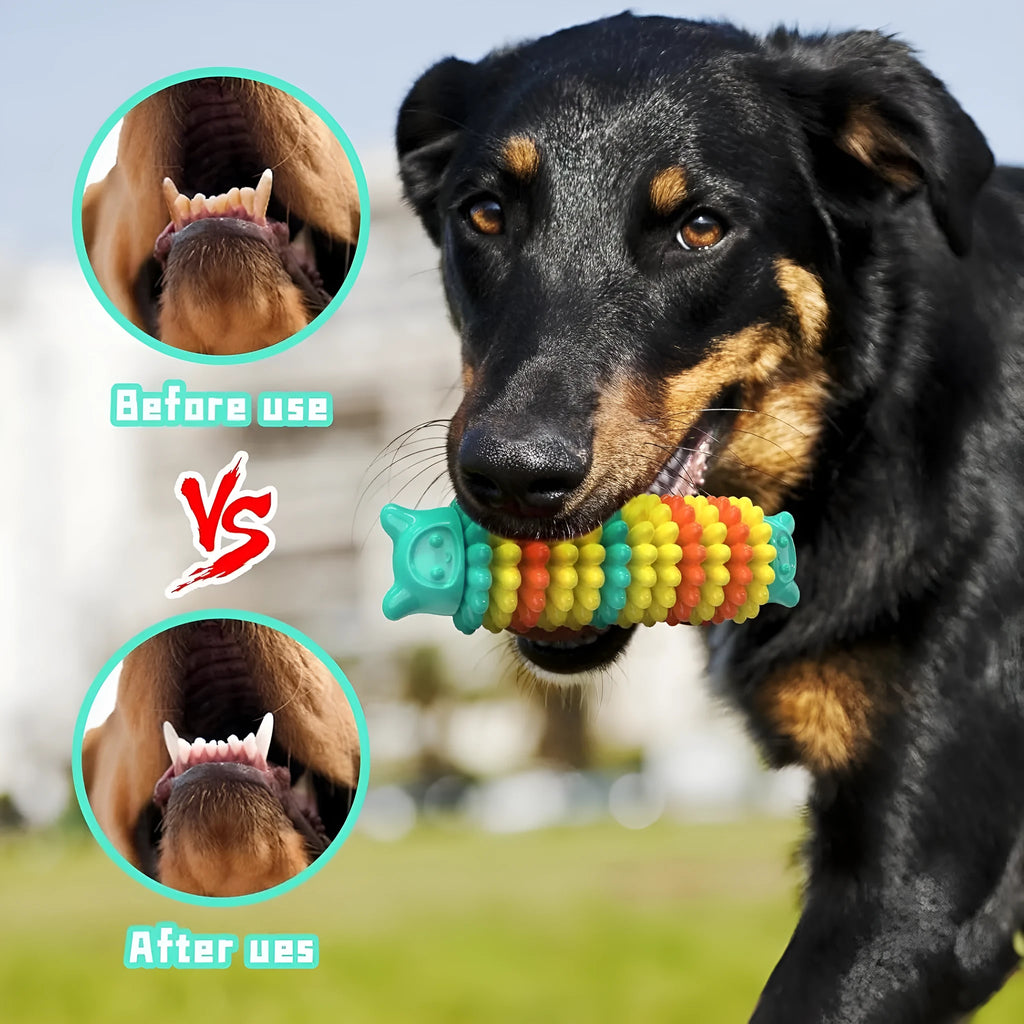 Blue green and pink natural rubber caterpillar-shaped dog chew toy on a white background