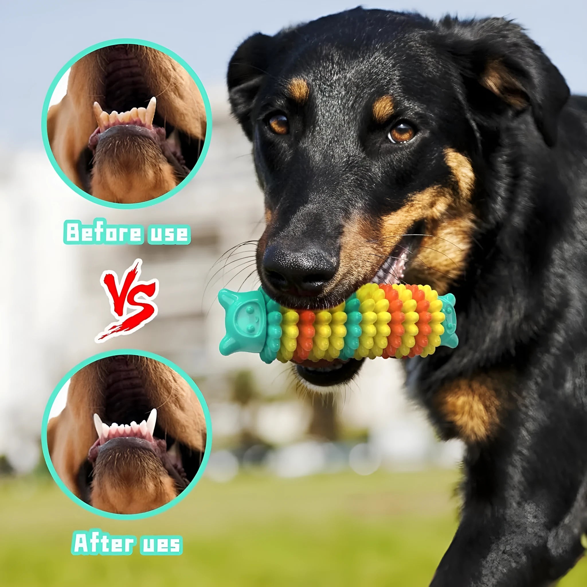 Blue green and pink natural rubber caterpillar-shaped dog chew toy on a white background
