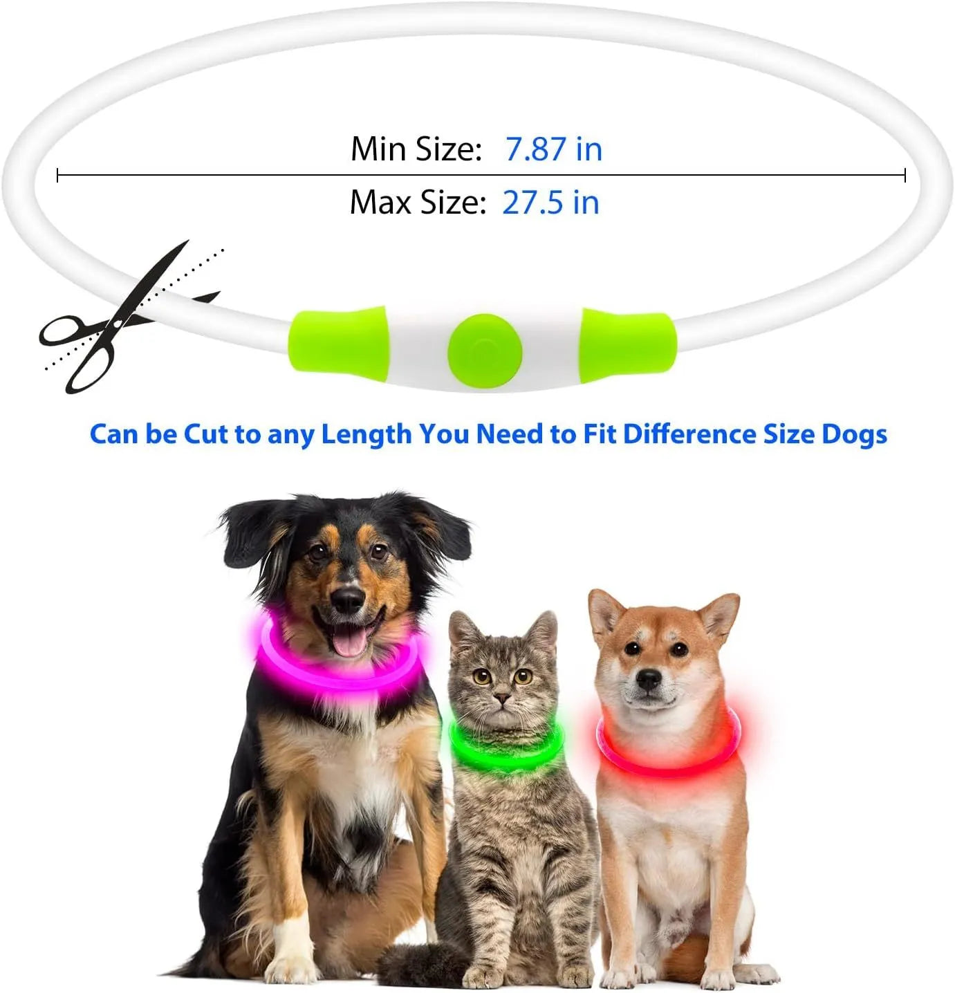 USB rechargeable LED dog collar glowing blue with adjustable TPU strap and charging cable
