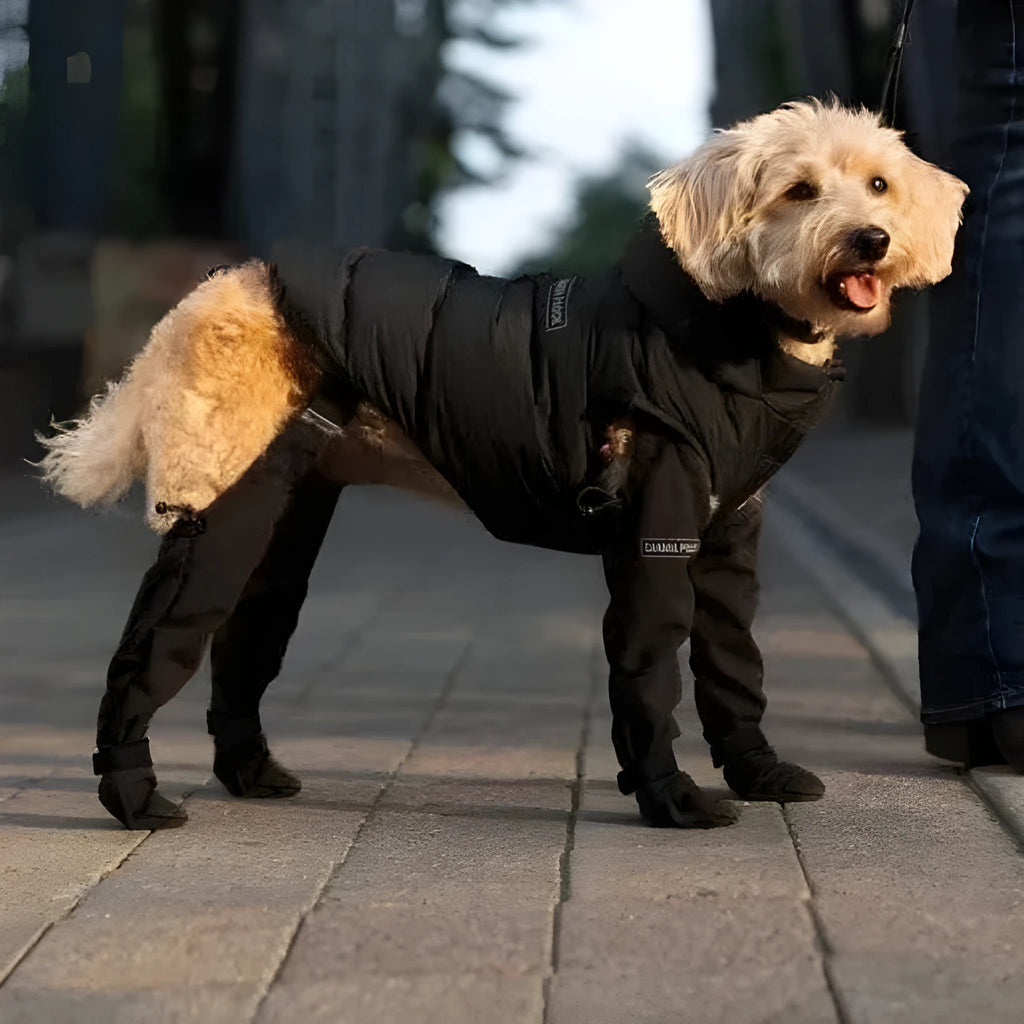 A set of four black waterproof dog shoes with non-slip soles for paw protection.