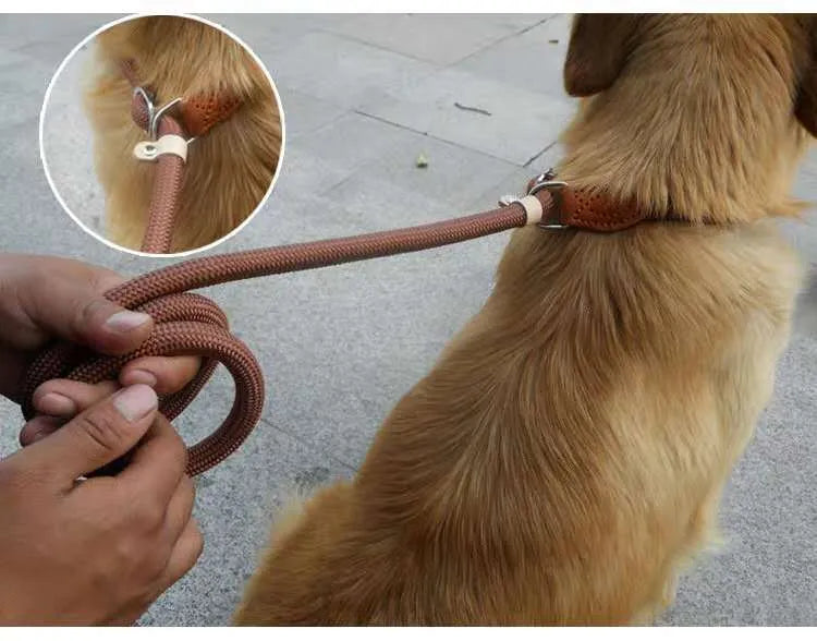 Brown nylon dog leash with chain section and rope handle, 2.1 metres long