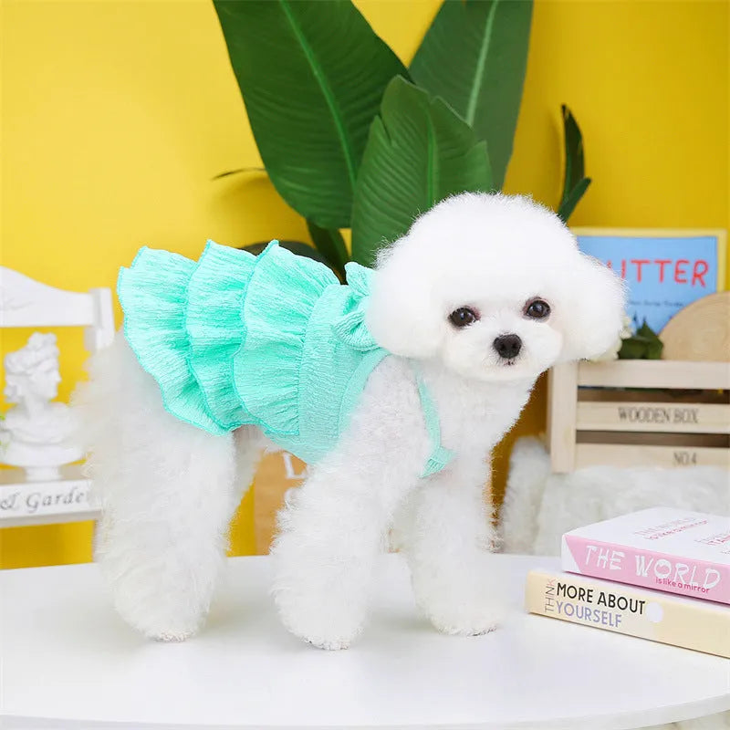 Small dog wearing polyester princess dress with layered skirt in candy colours