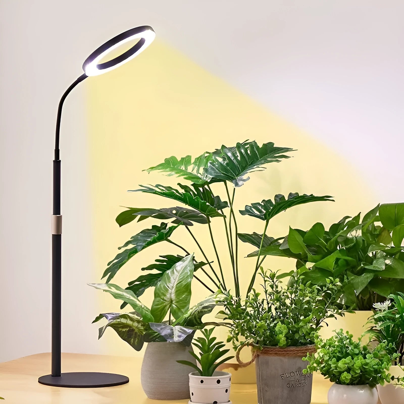 6-inch angel ring retractable floor plant grow light with aluminium stand extended to full height.