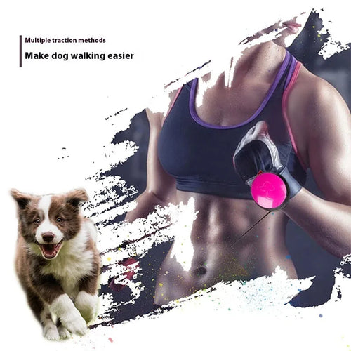 3 metre explosion-proof automatic retractable dog leash with holding hands handle in multiple colours.