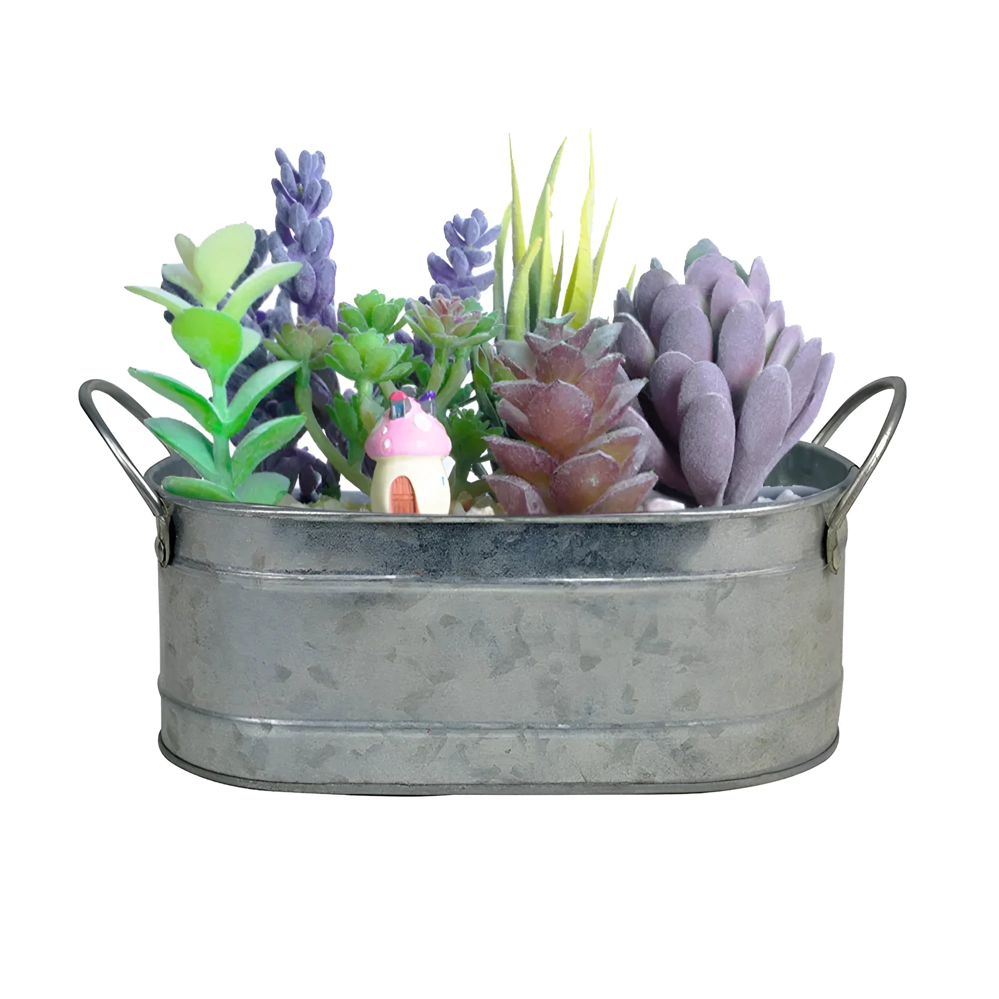 Galvanised iron desktop flowerpot for succulents with water-saving design