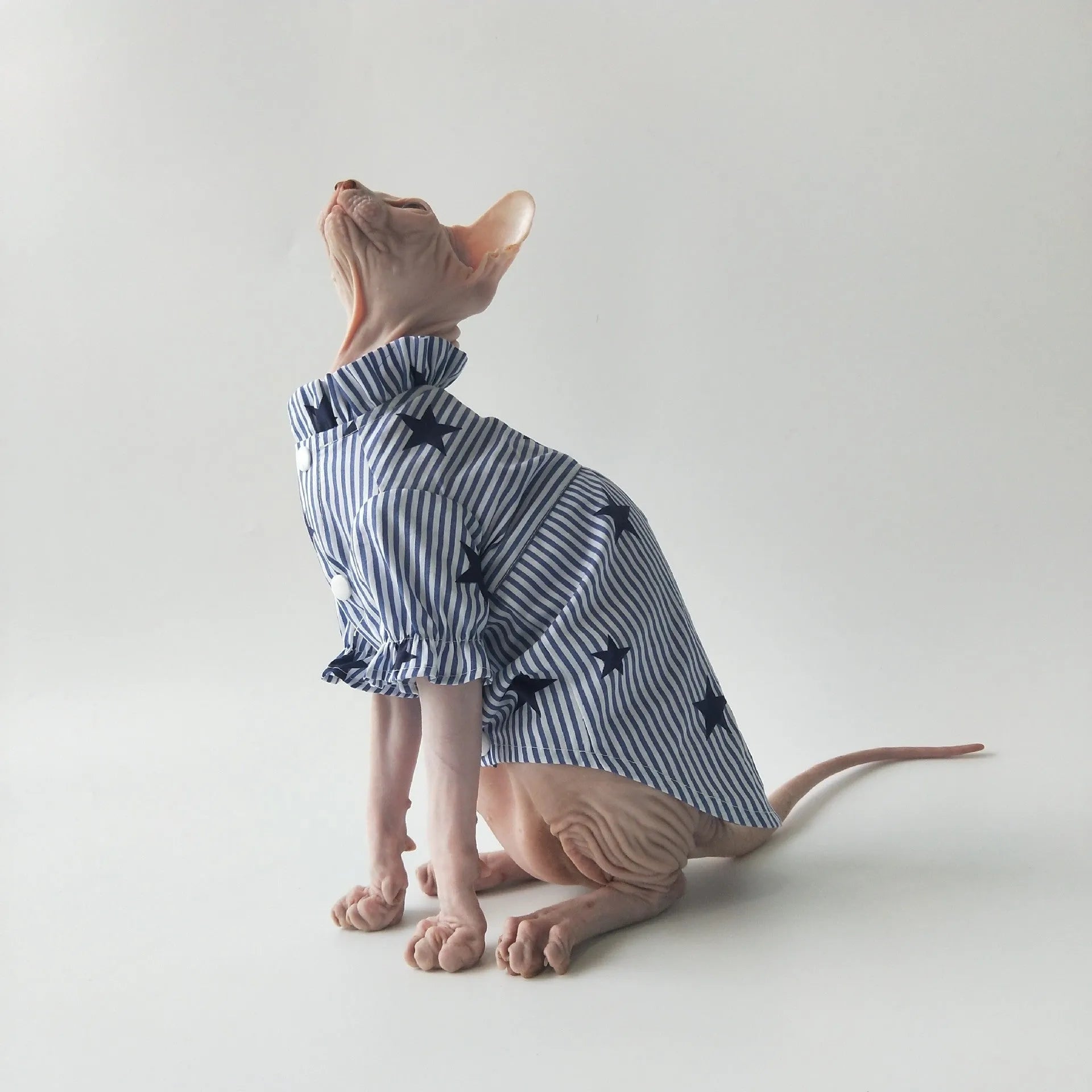 Casual thin cotton shirt for Sphinx hairless cats in breathable design