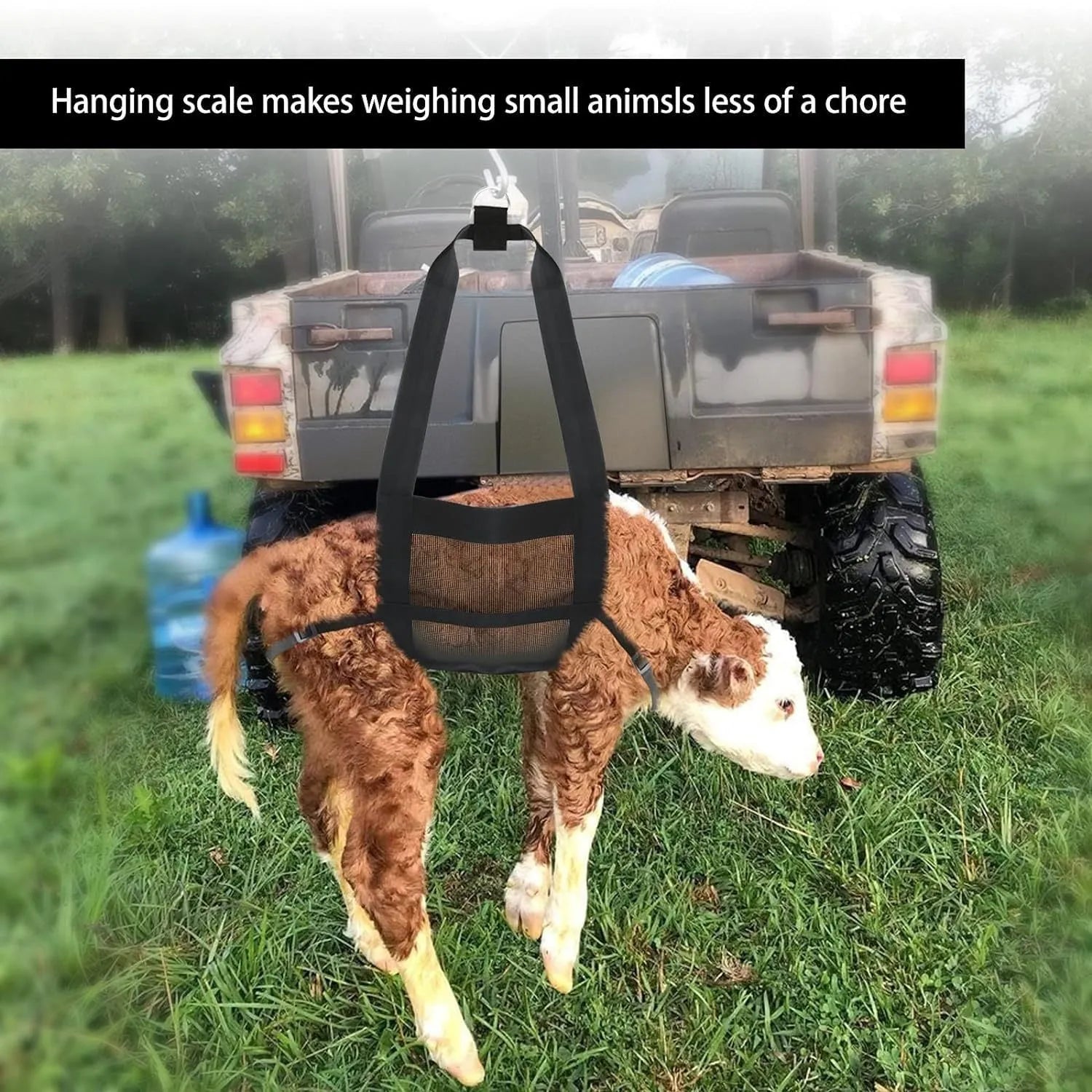 Black calf and large dog weighing sling measuring 35 by 150 centimetres.