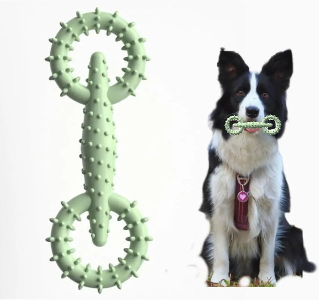 Blue TPR dog chew toy ring measuring 16cm across for puppy teething