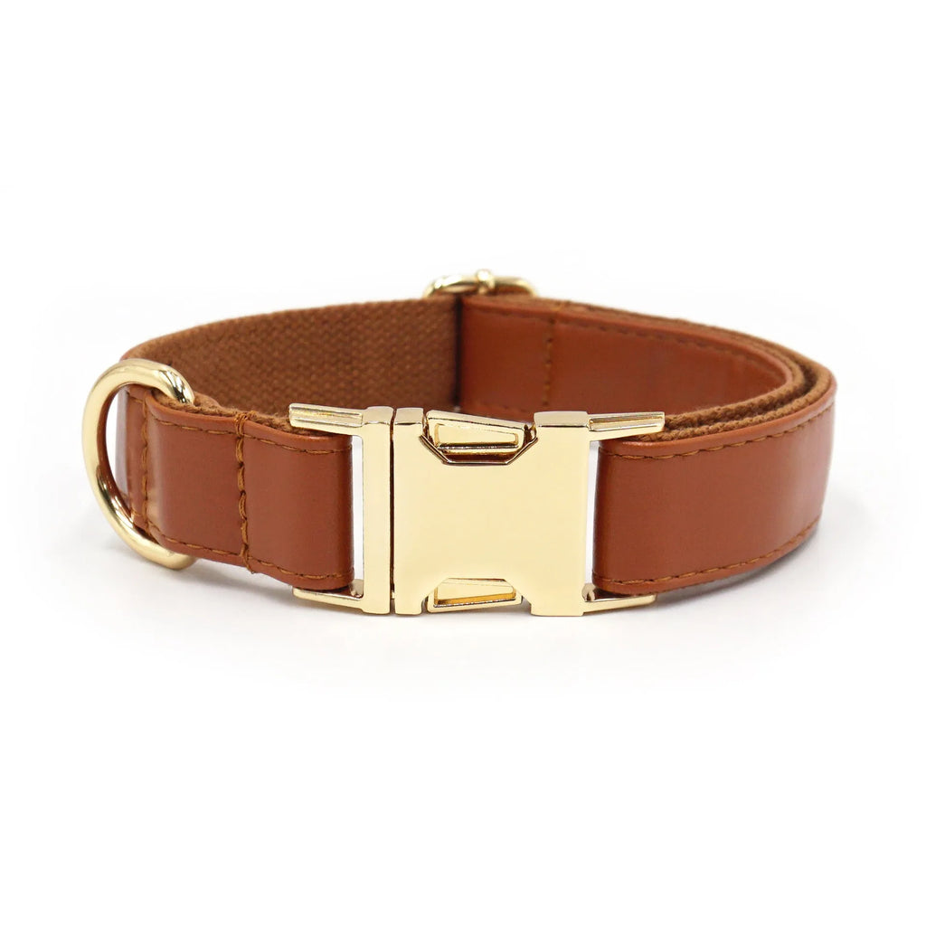 Leather dog collar with velvet colour block in caramel, showing metal buckle and D-ring