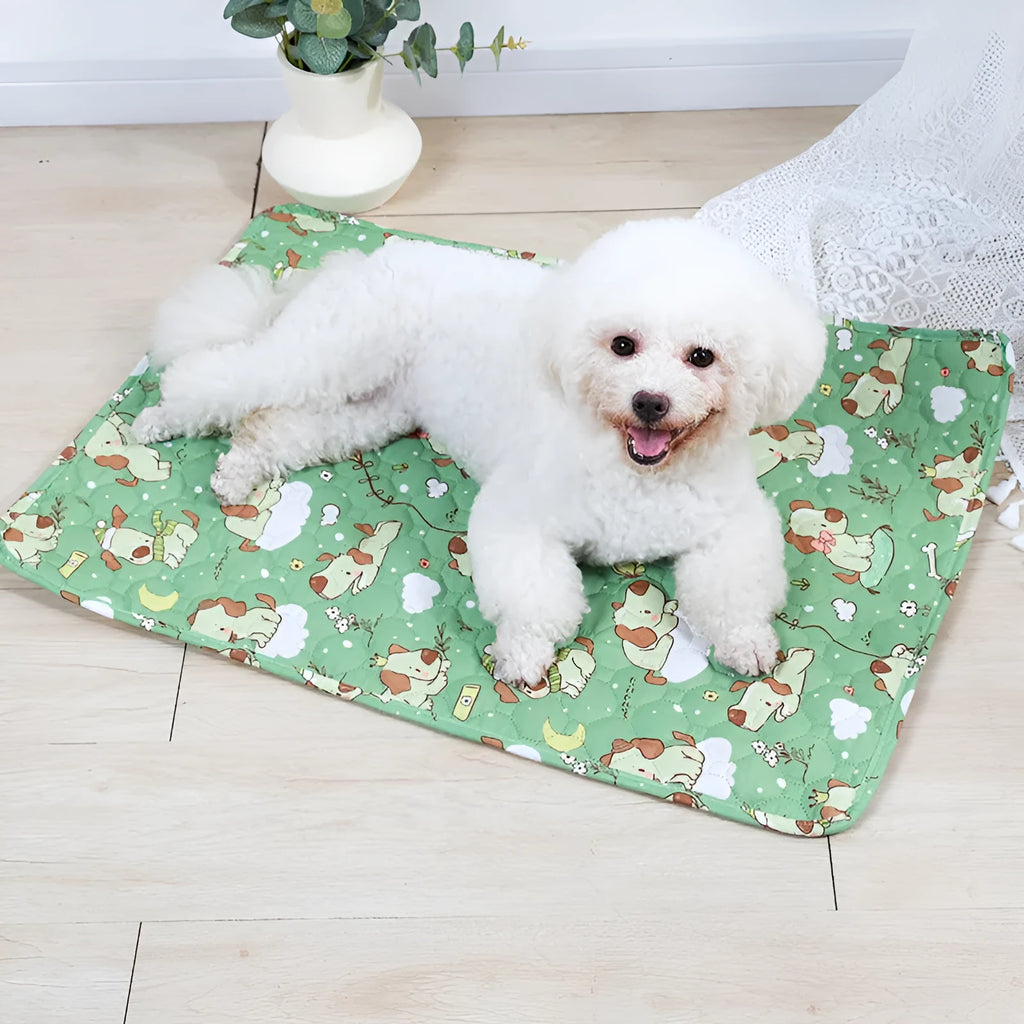 Reusable washable pet urine pad showing colour patterns and size options for dog and cat training