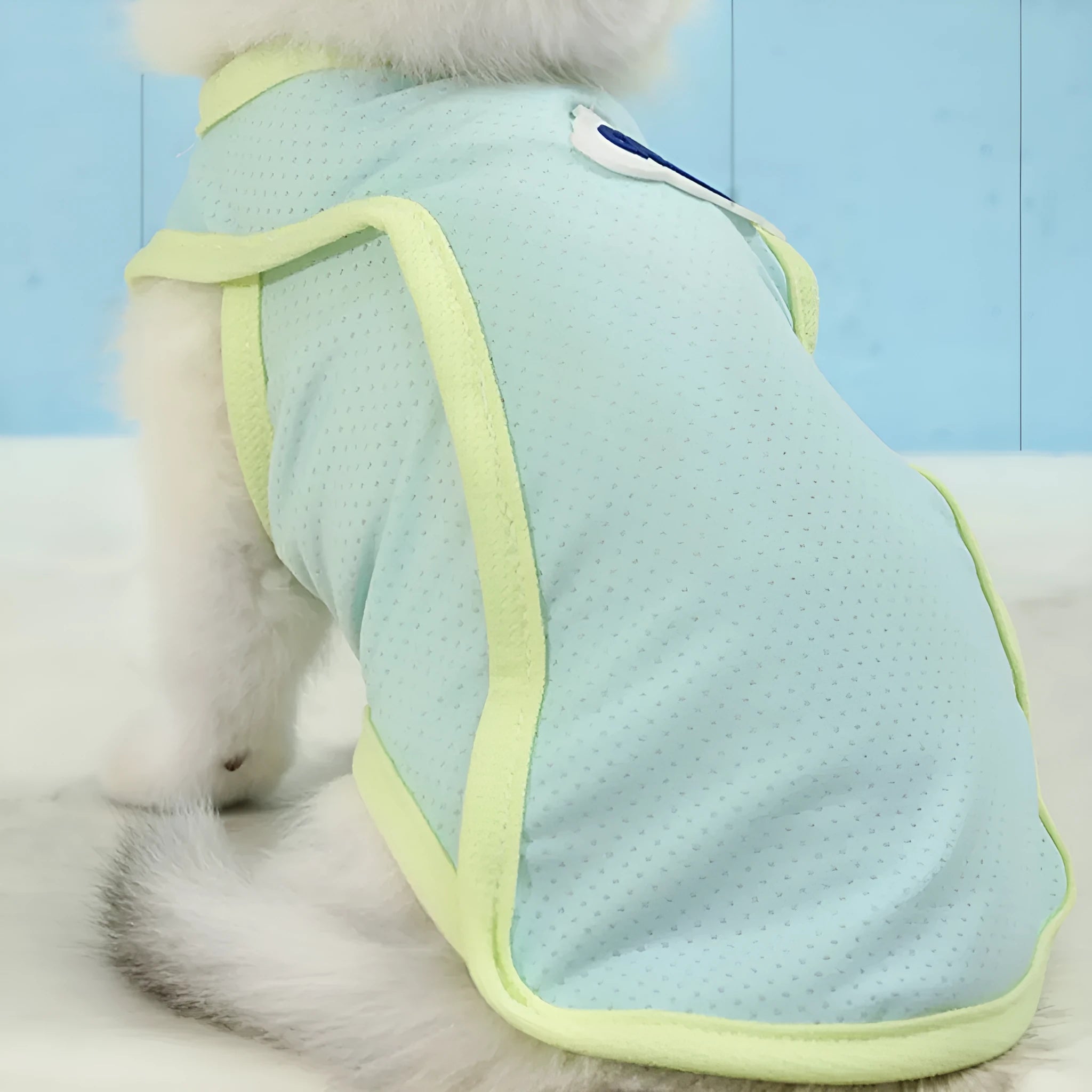 Grass green lightweight polyester vest for a cat, shown in a size M.