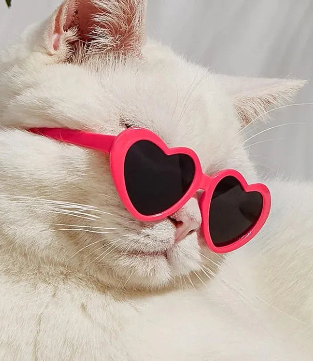 Doll sunglasses pet toy accessories PC full rim frame black film size, childlike style, multiple colours