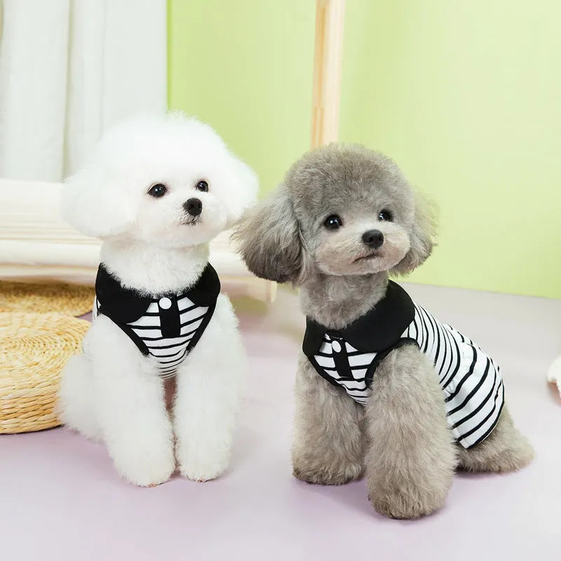 Striped cotton T-shirt and skirt set for dogs in summer casual pet clothing