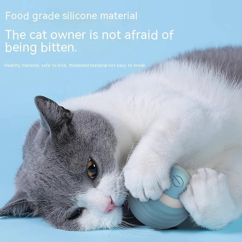 Blue automatic smart cat toy ball with rechargeable moving and bouncing function