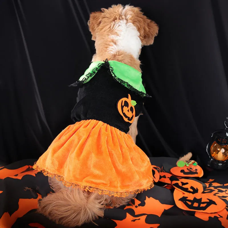 Orange crystal velvet Halloween pumpkin skirt costume on a small dog, with size chart showing measurements.