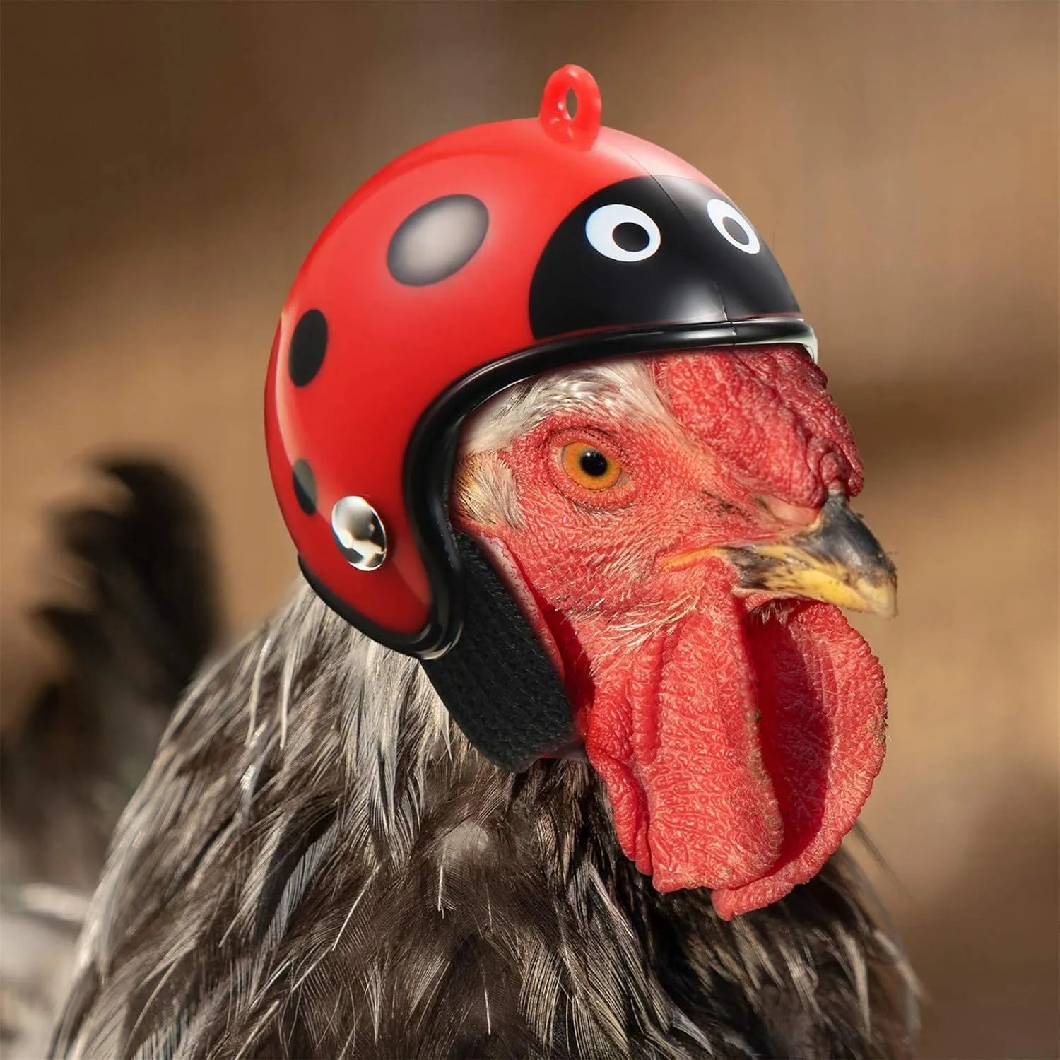 Small hard plastic helmet for a chicken or bird with elastic straps and a colourful design.