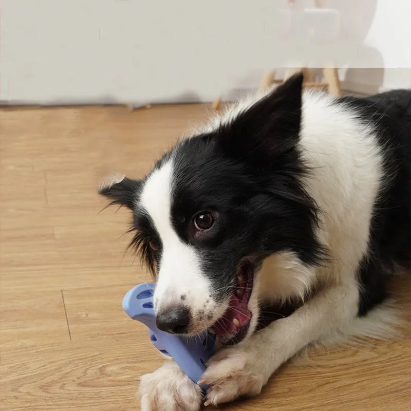 Blue durable rubber boomerang molar dog chew toy for large breed dogs on a white background