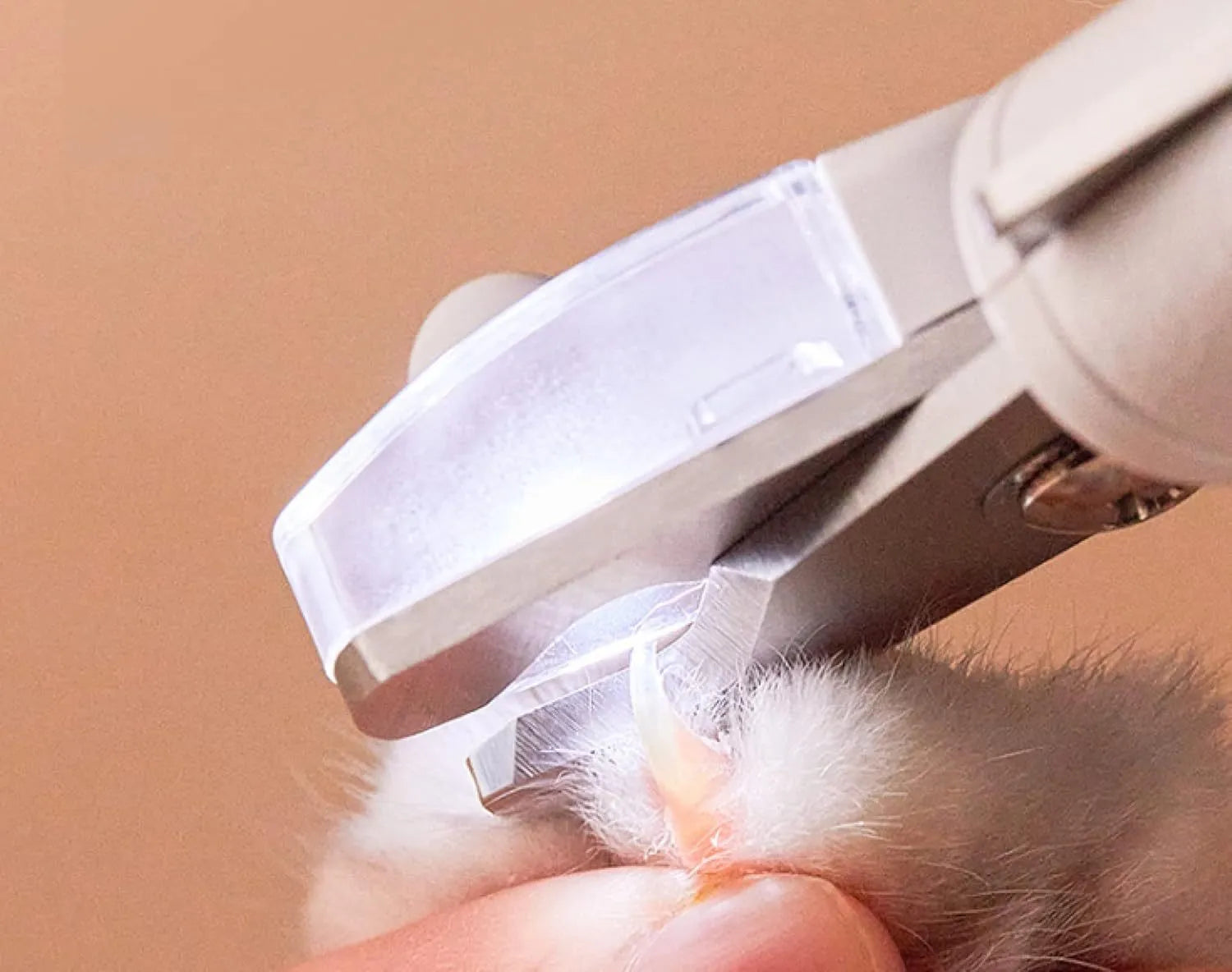 White pet nail clippers with LED light, transparent anti-splash guard, and leather-like handle on a table