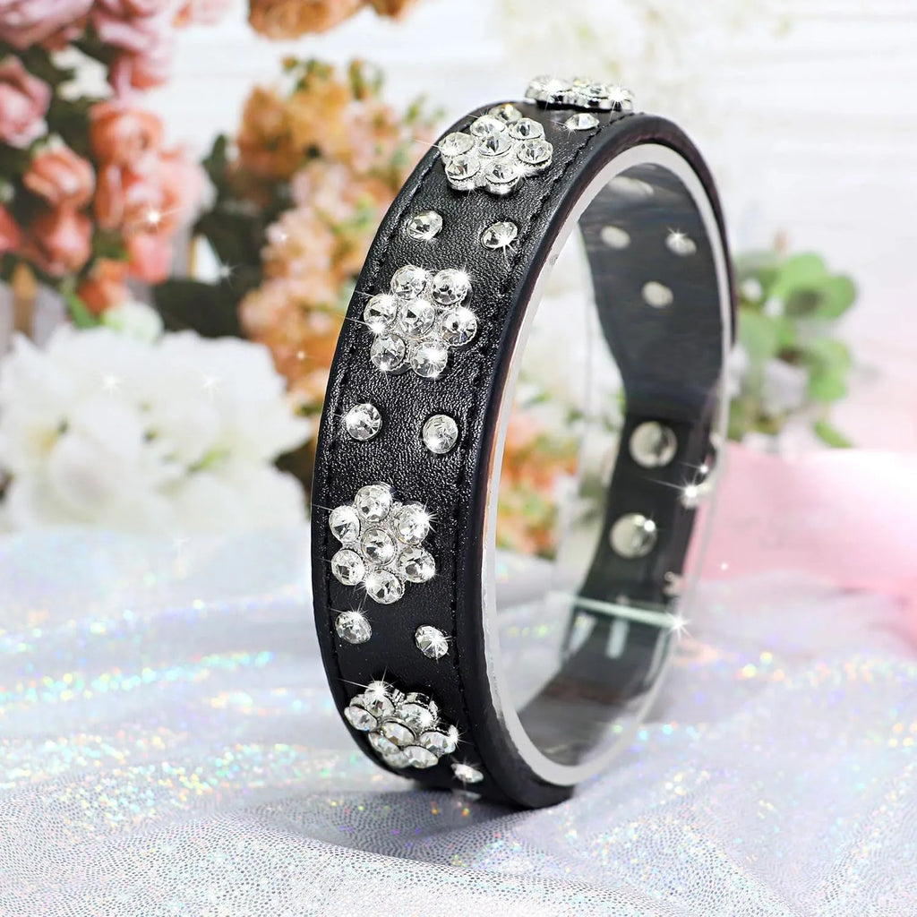 PU leather dog collar with rhinestone flower pattern and metal studs on a small dog