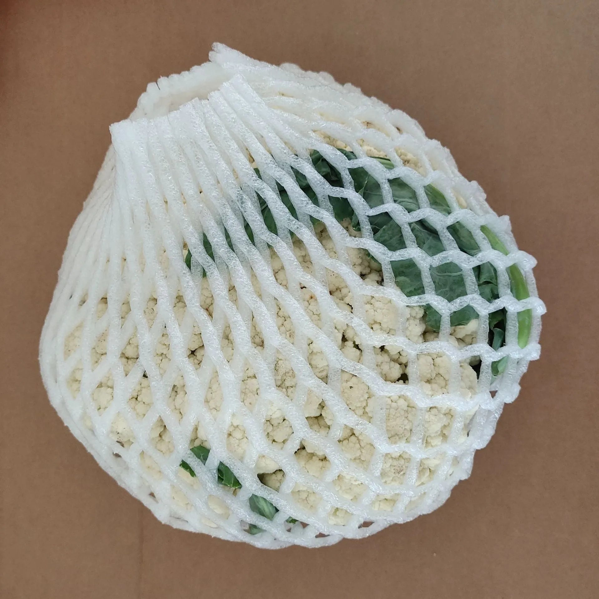 White foam shockproof protective net for fruits in various sizes from 6x5cm to 18x7cm