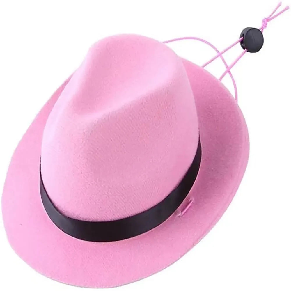S size 155cm diameter mini pet hat in wool felt for Halloween birthday events